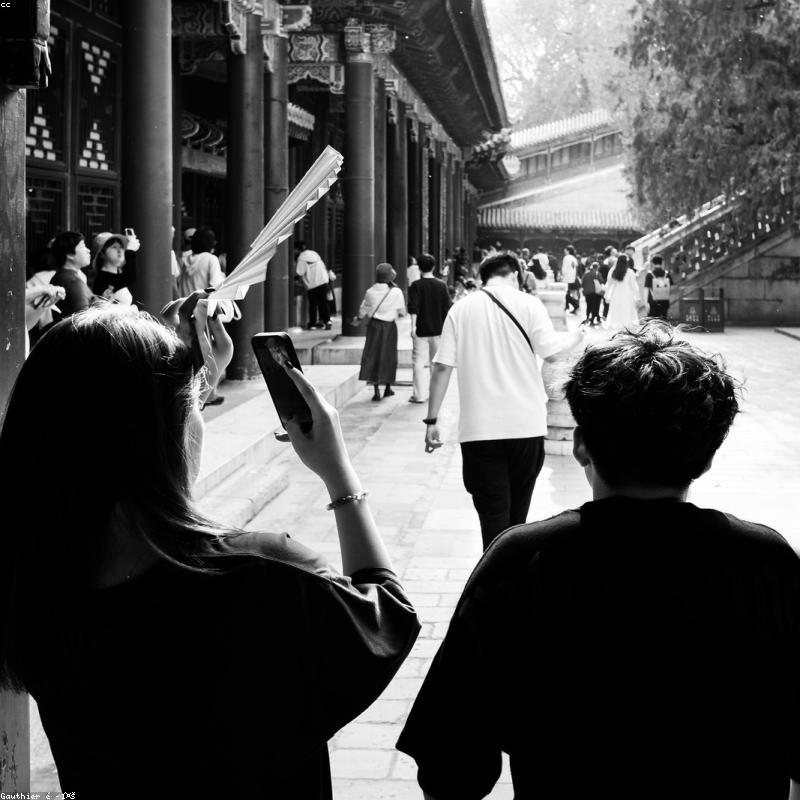 缂丝团扇